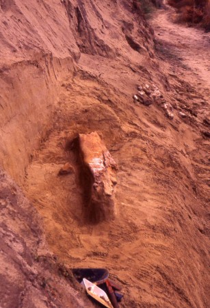 una parte del cranio telescopico